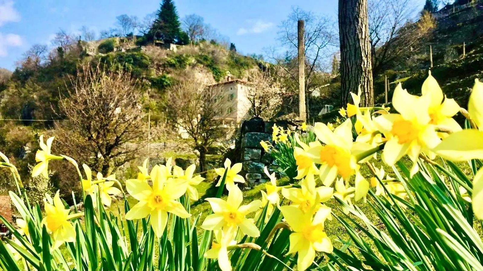 La Casa Sulla Collina Del Castello Villa Breno Italy