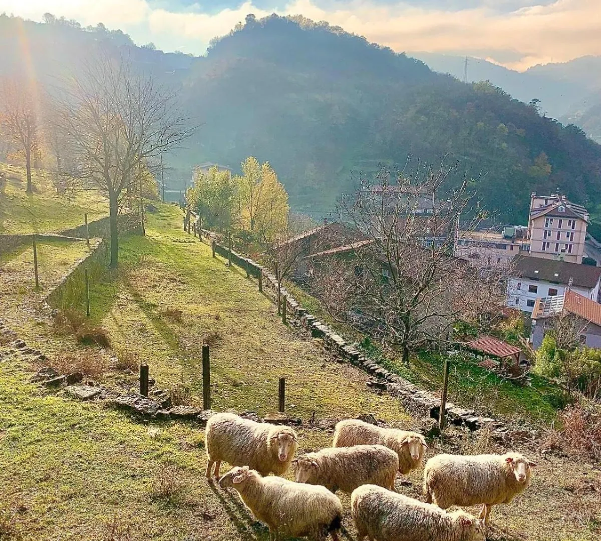 La Casa Sulla Collina Del Castello Villa Breno Holiday home